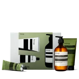 Flacon-pompe ambre et deux tubes verts, dont l’un est couche,
                        disposes devant un etui Aesop vert olive et gris argente.