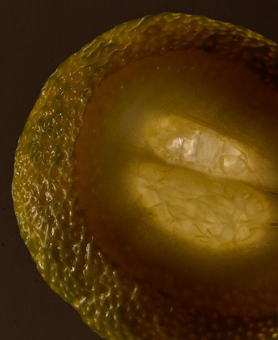 Vue macro d’un agrume coupe en deux, a la pulpe luisante et a l’ecorce texturee.